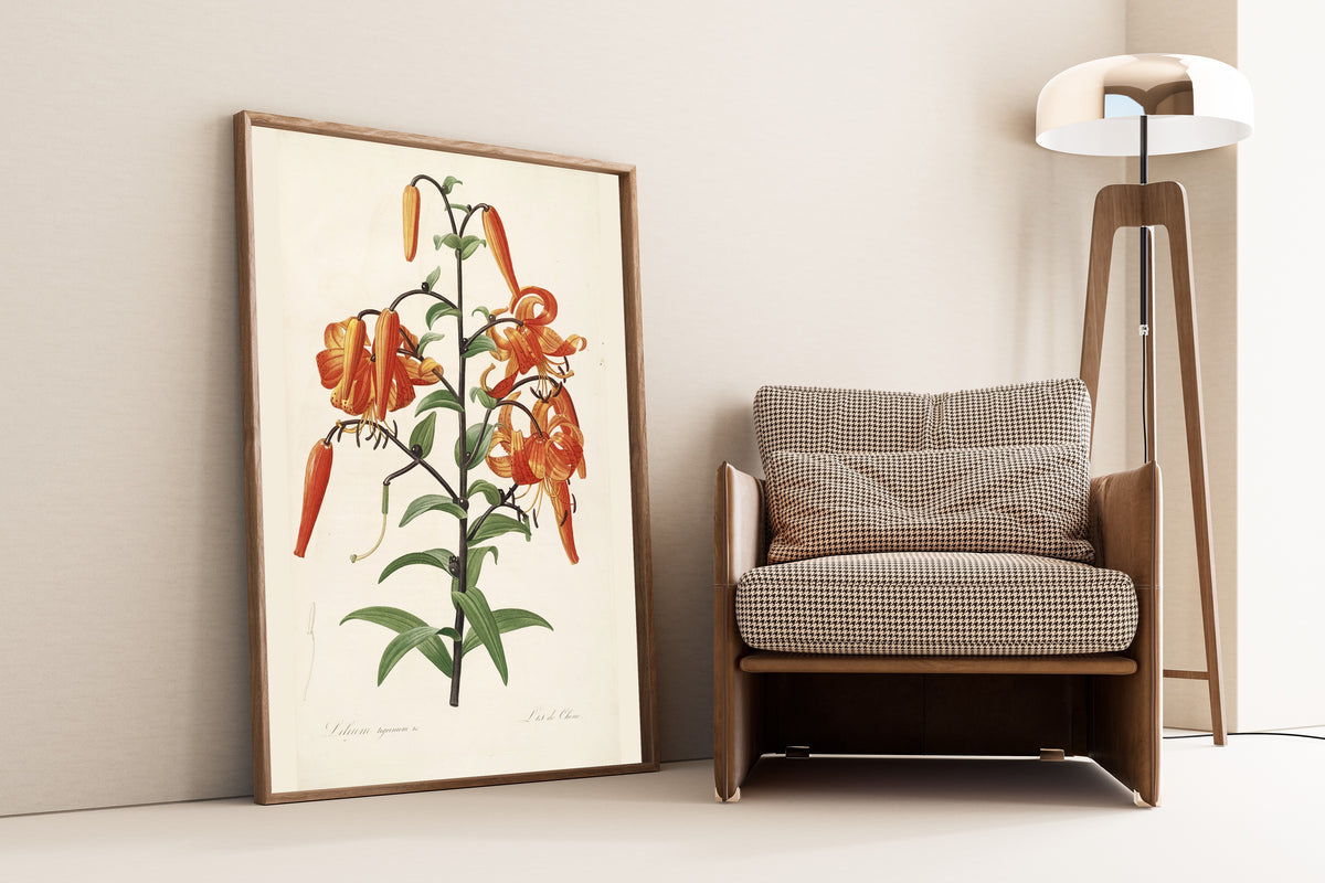 Pierre-Joseph Redouté — Les Liliacées: Tiger Lily (Lilium Tigrinum) | Botanical Illustration Print