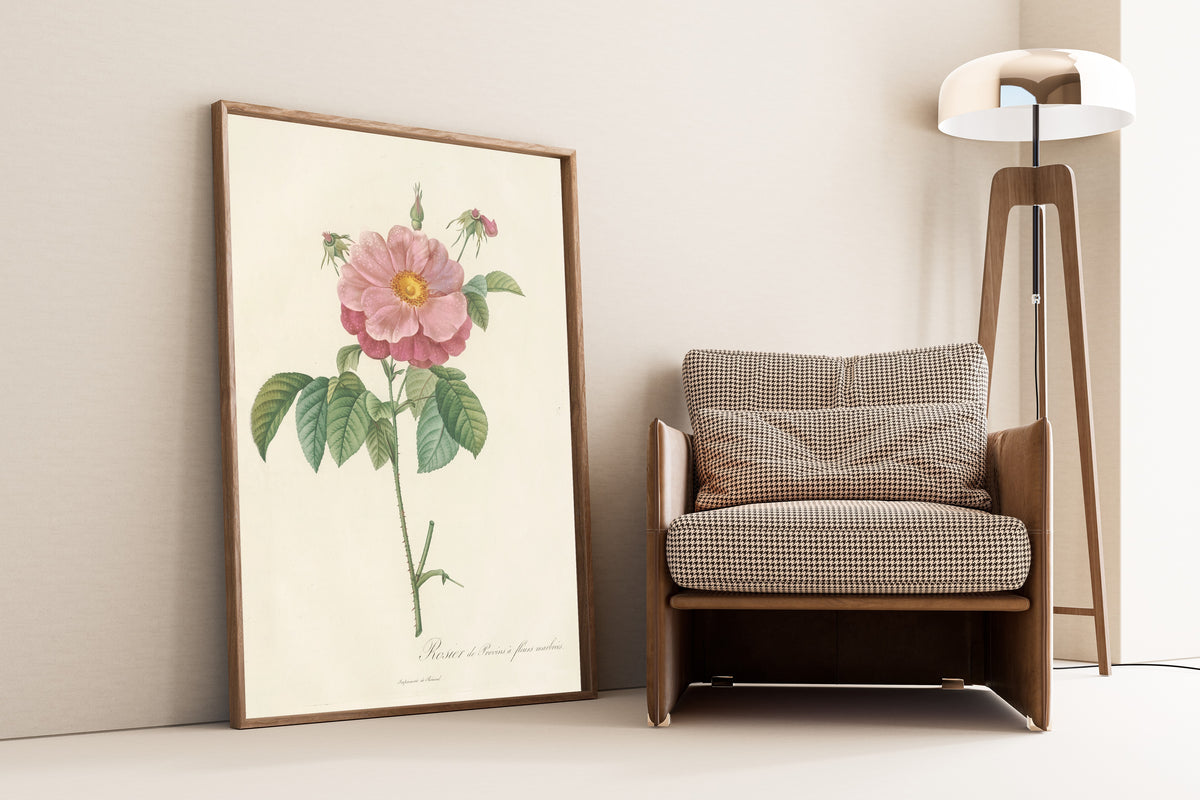 Framed art print of Les Roses: Rosa Gallica Flore Marmoreo by Pierre-Joseph Redouté, leaning against a wall beside an armchair and a floor lamp