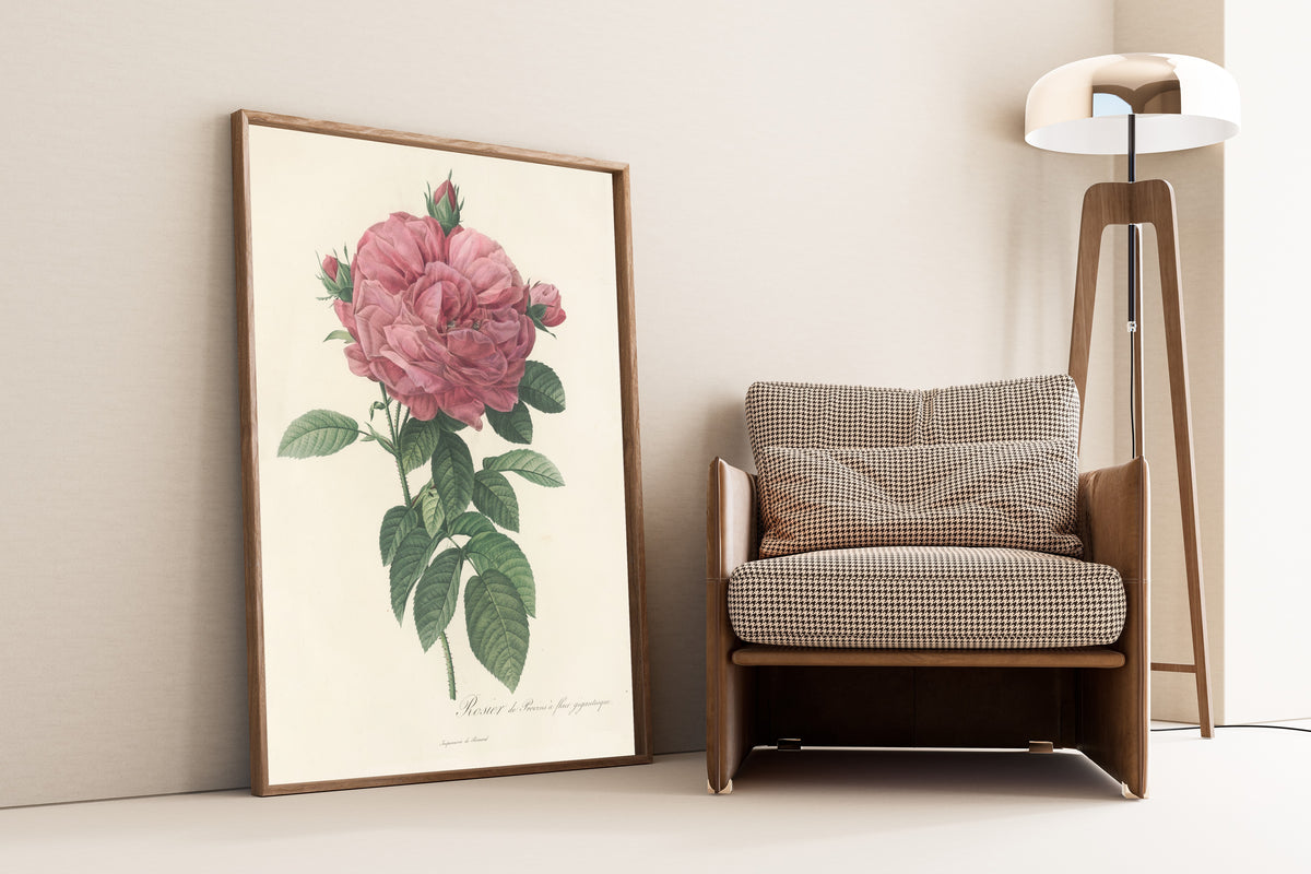 Framed art print of Les Roses: Rosa Gallica Flore giganteo by Pierre-Joseph Redouté, leaning against a wall beside an armchair and a floor lamp