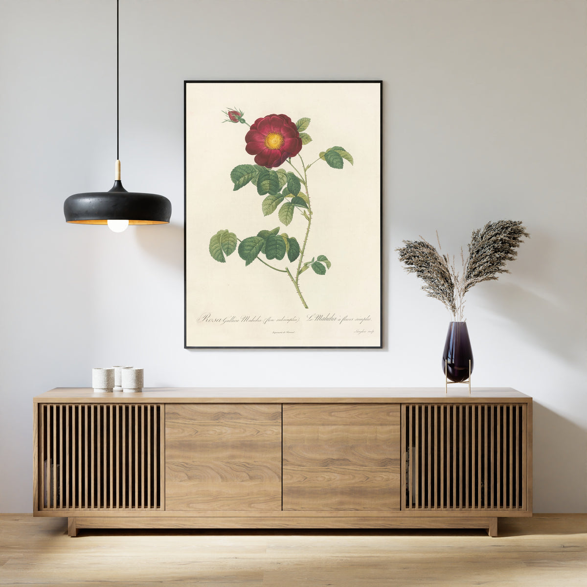 Pierre-Joseph Redouté — Les Roses: Rosa Gallica Maheka (Flore Subsimplici) | Botanical Illustration Print