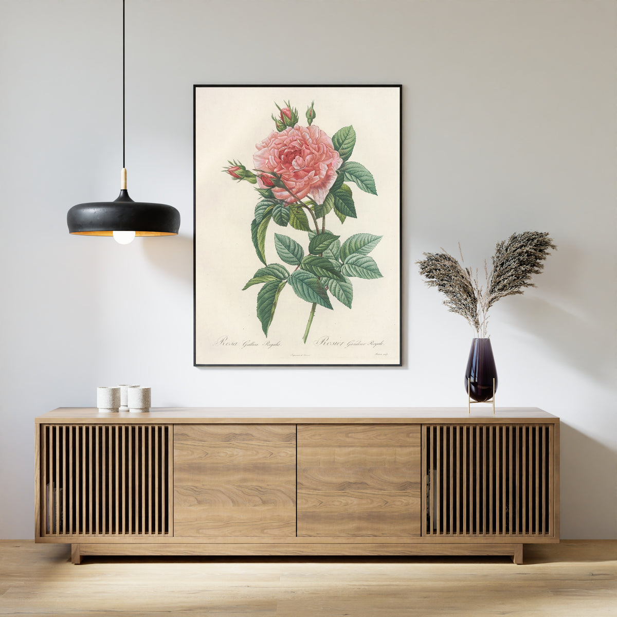 Pierre-Joseph Redouté — Les Roses: Rosa Gallica Regalis | Botanical Illustration Print