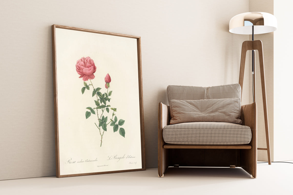 Framed art print of Les Roses: Rosa Indica Automnalis by Pierre-Joseph Redouté, leaning against a wall beside an armchair and a floor lamp
