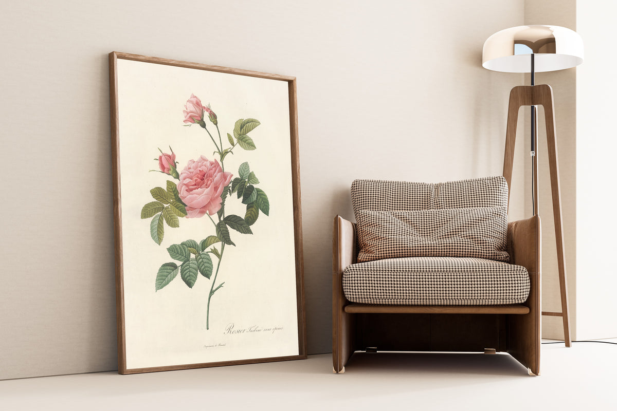 Framed art print of Les Roses: Rosa Inermis by Pierre-Joseph Redouté, leaning against a wall beside an armchair and a floor lamp