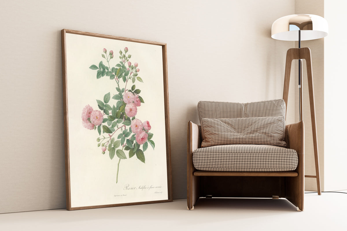 Framed art print of Les Roses: Rosa Multiflora Carnea by Pierre-Joseph Redouté, leaning against a wall beside an armchair and a floor lamp