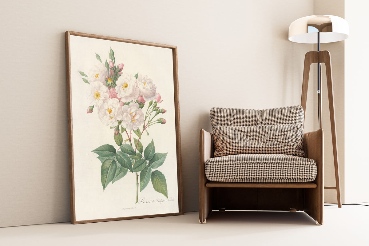 Framed art print of Les Roses: Rosa Noisettiana by Pierre-Joseph Redouté, leaning against a wall beside an armchair and a floor lamp