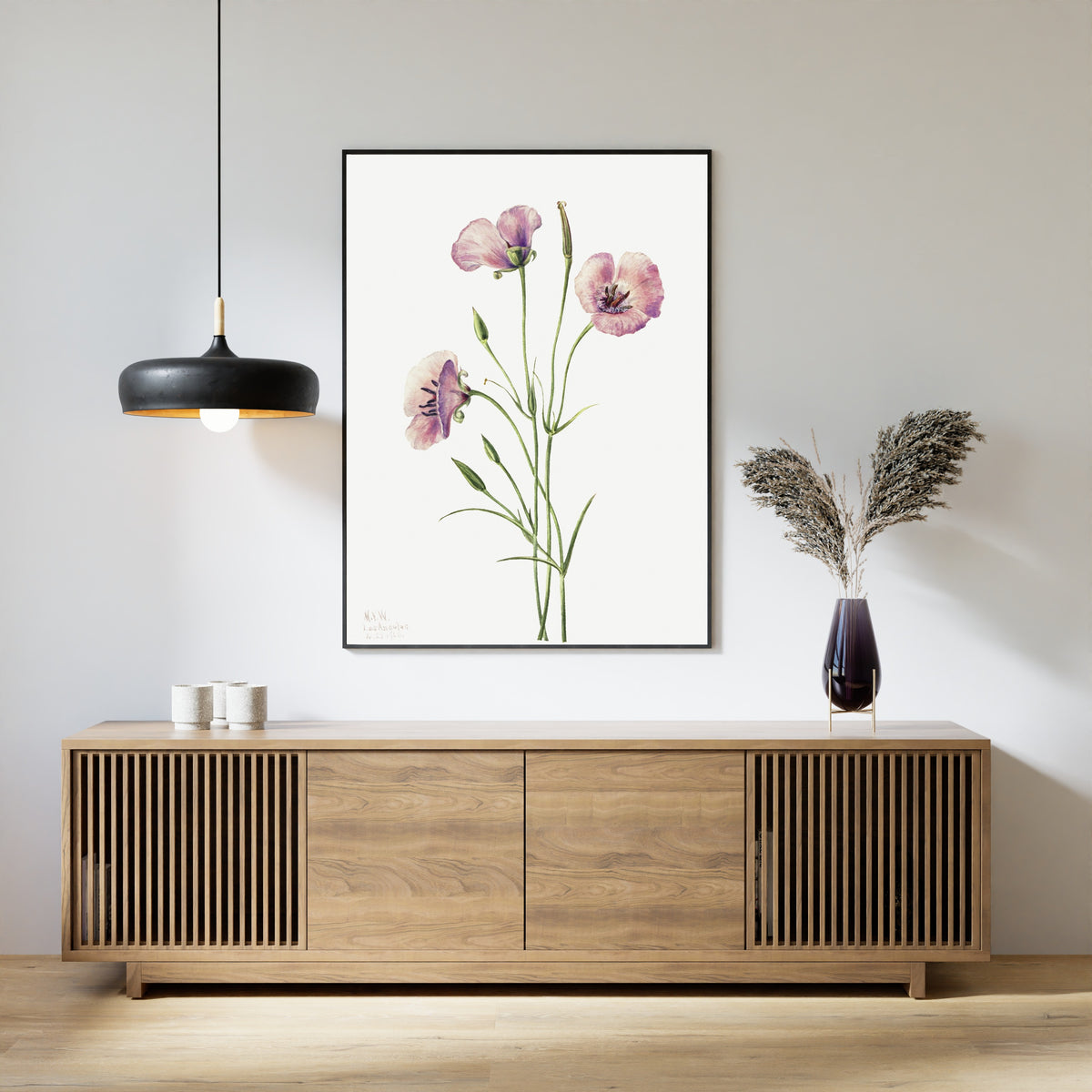 Mary Vaux Walcott — Lilac Mariposa (Calochortus splendens) | Natural History Print