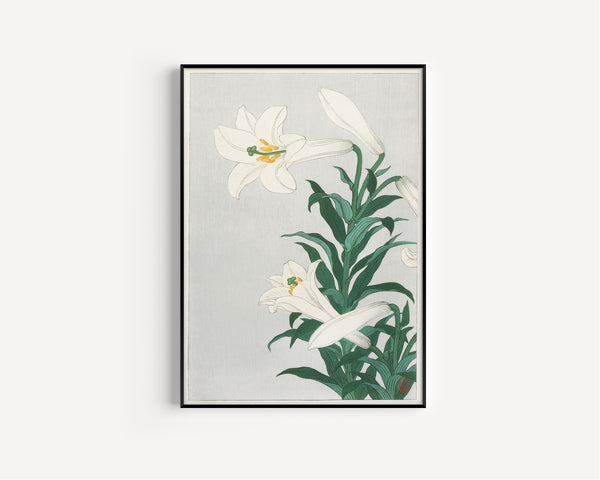 Ohara Koson — Lilies | Japanese Bird & Flower Woodblock Print