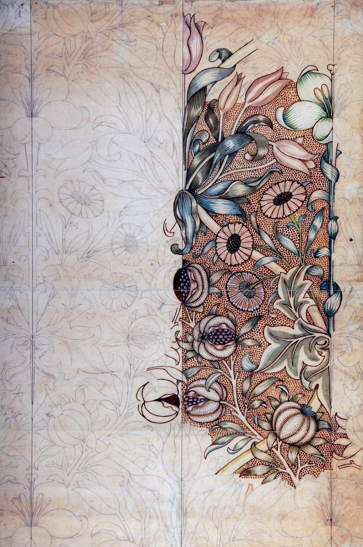 Lily and Pomegranate (Design Drawing) by William Morris — Split pomegranates among painted blooms, the rest left in pencil