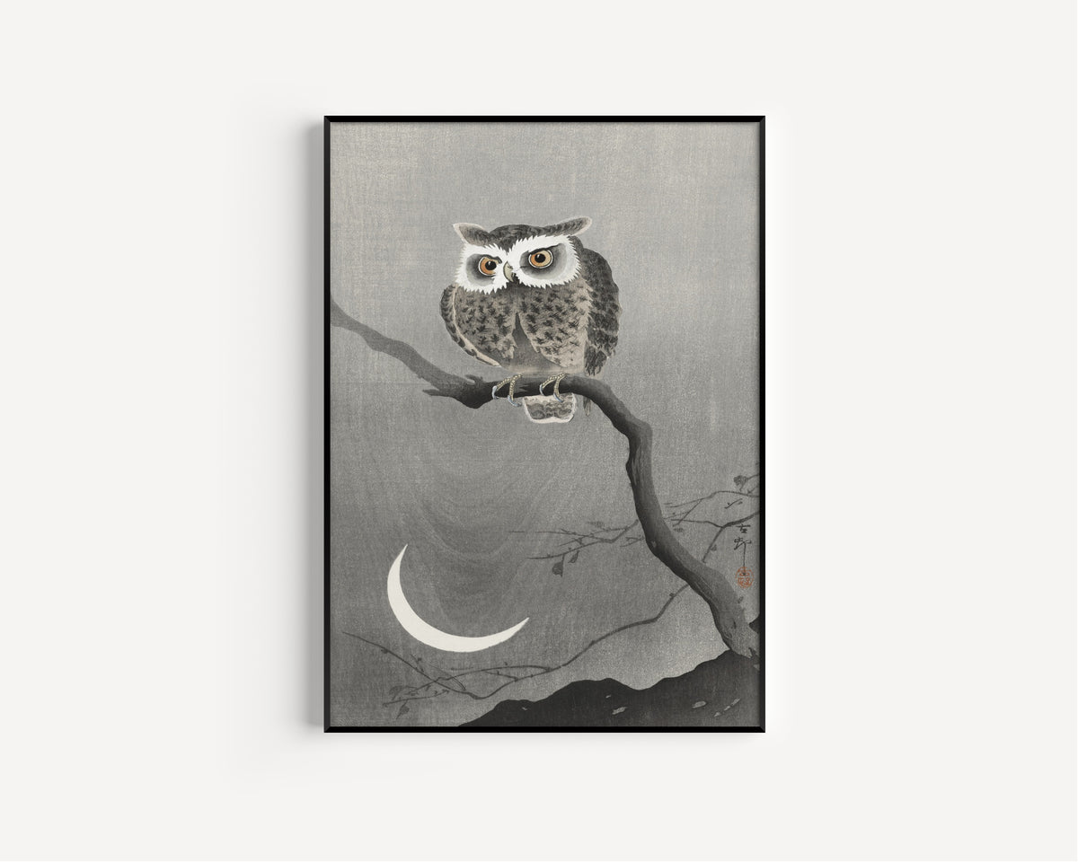 Ohara Koson — Long-eared Owl on Bare Tree Branch | Japanese Bird & Flower Woodblock Print