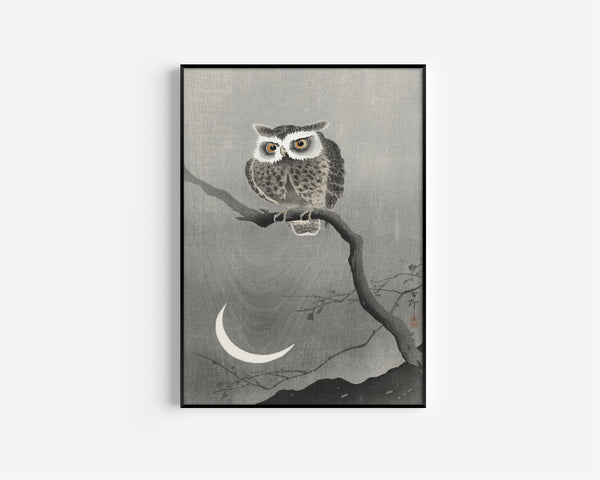 Ohara Koson — Long-eared Owl on Bare Tree Branch | Japanese Bird & Flower Woodblock Print
