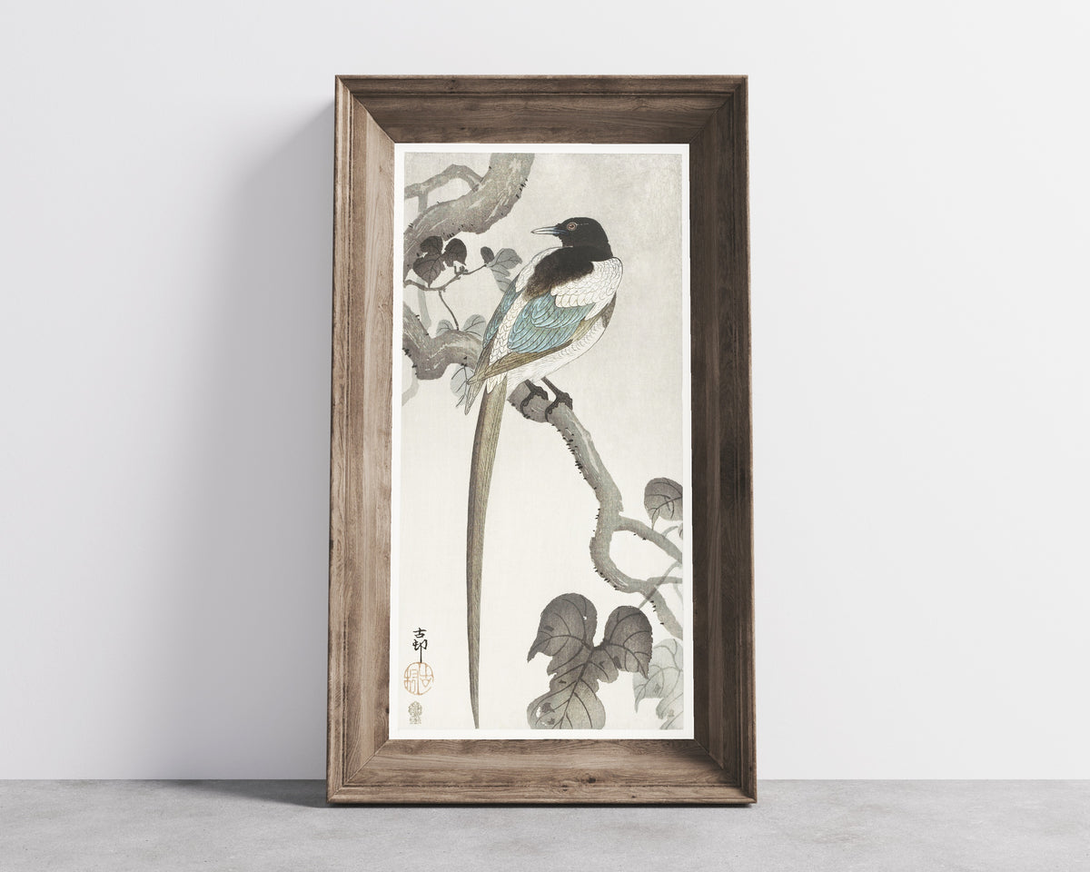 Ohara Koson — Magpie on Tree Branch | Japanese Bird & Flower Woodblock Print