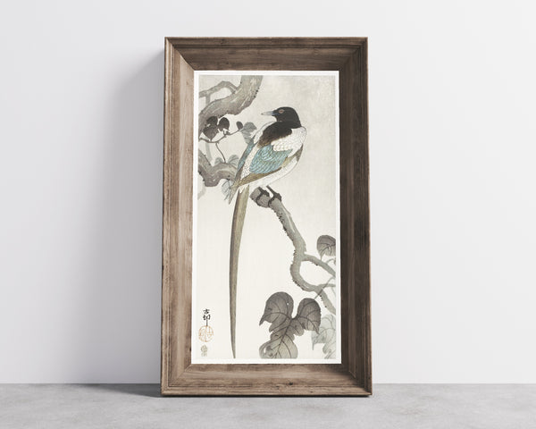 Ohara Koson — Magpie on Tree Branch | Japanese Bird & Flower Woodblock Print
