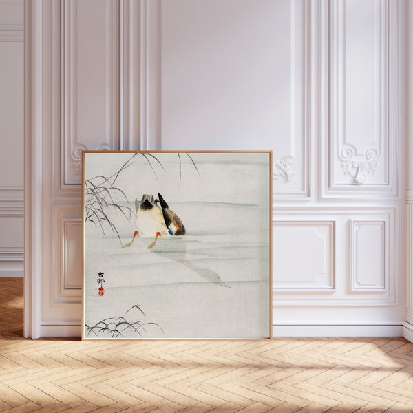 Ohara Koson — Mallard, Head under Water | Japanese Bird & Flower Woodblock Print