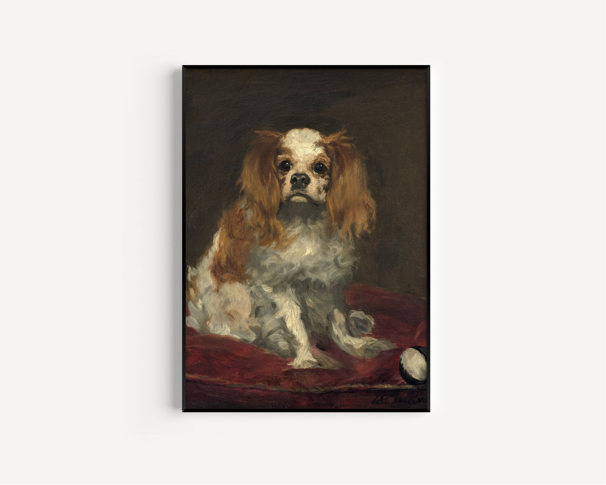 Édouard Manet — A King Charles Spaniel | Fine Art Print