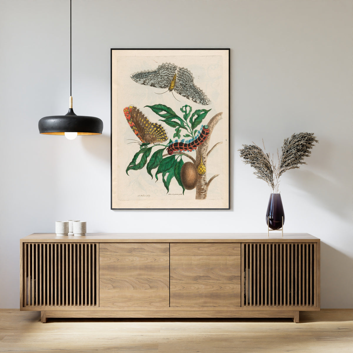 Framed art print of Metamorphosis of the Insects of Surinam: Arbre de gomme-gutte by Maria Sibylla Merian, above a slatted wood sideboard