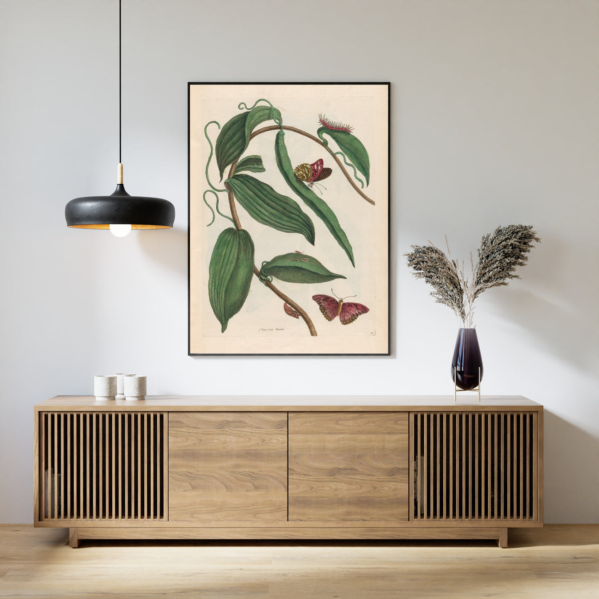 Framed art print of Metamorphosis of the Insects of Surinam: Banille by Maria Sibylla Merian, above a slatted wood sideboard