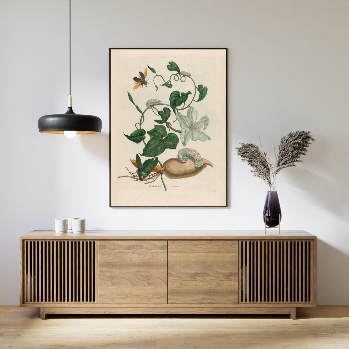 Framed art print of Metamorphosis of the Insects of Surinam: Battattes by Maria Sibylla Merian, above a slatted wood sideboard