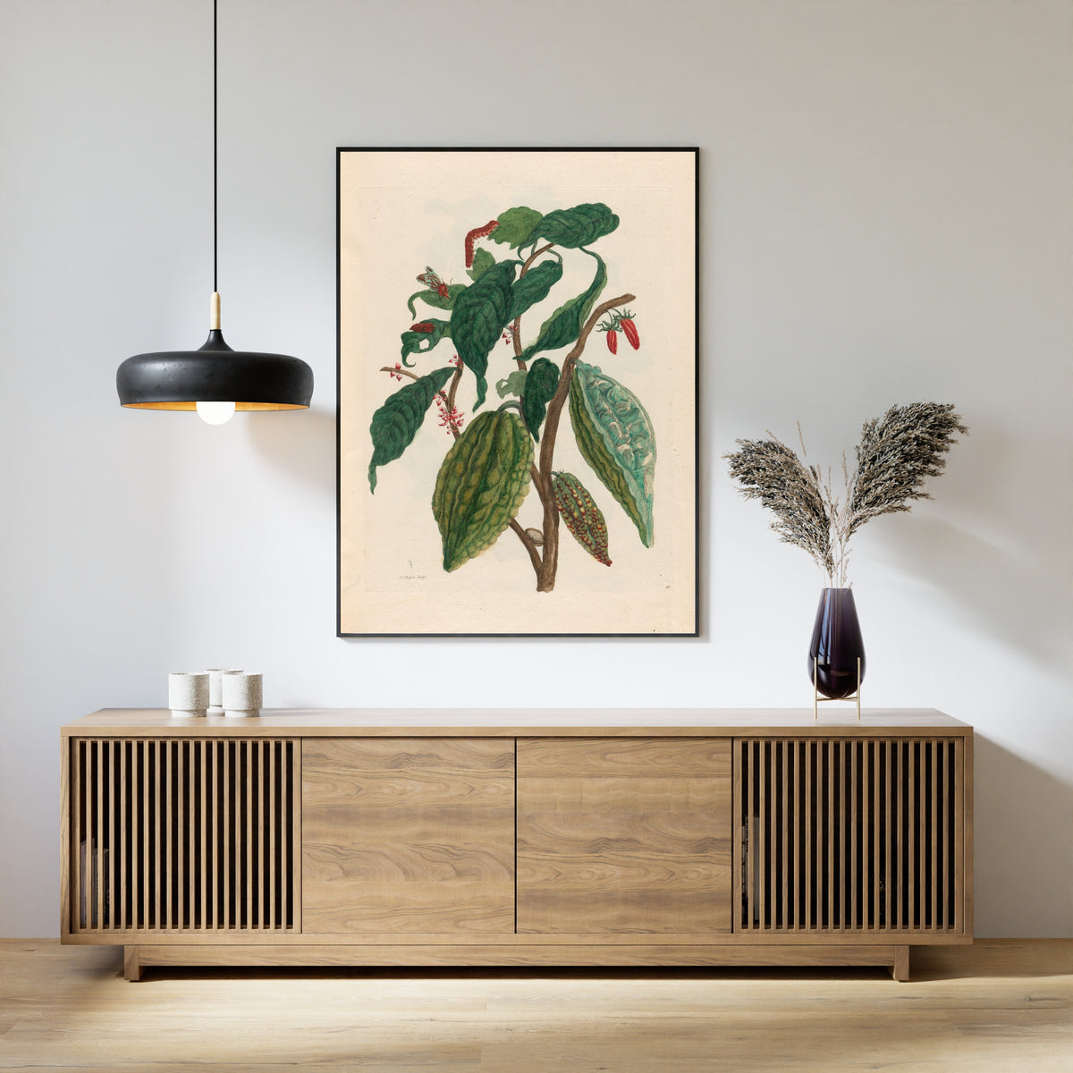 Framed art print of Metamorphosis of the Insects of Surinam: Cacao by Maria Sibylla Merian, above a slatted wood sideboard