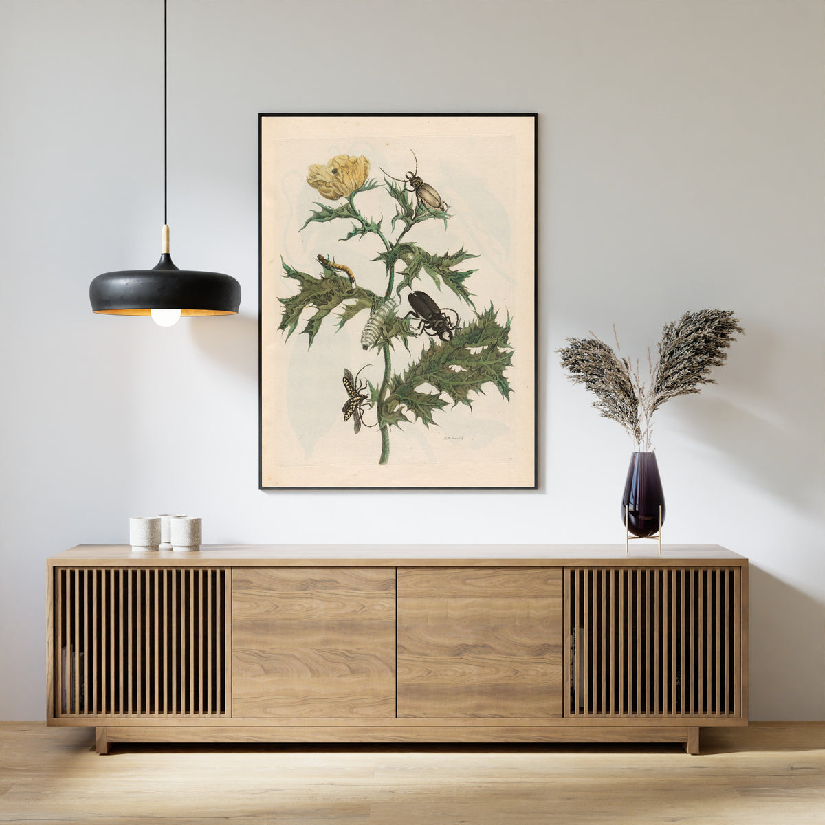 Framed art print of Metamorphosis of the Insects of Surinam: Carduus spinosus by Maria Sibylla Merian, above a slatted wood sideboard