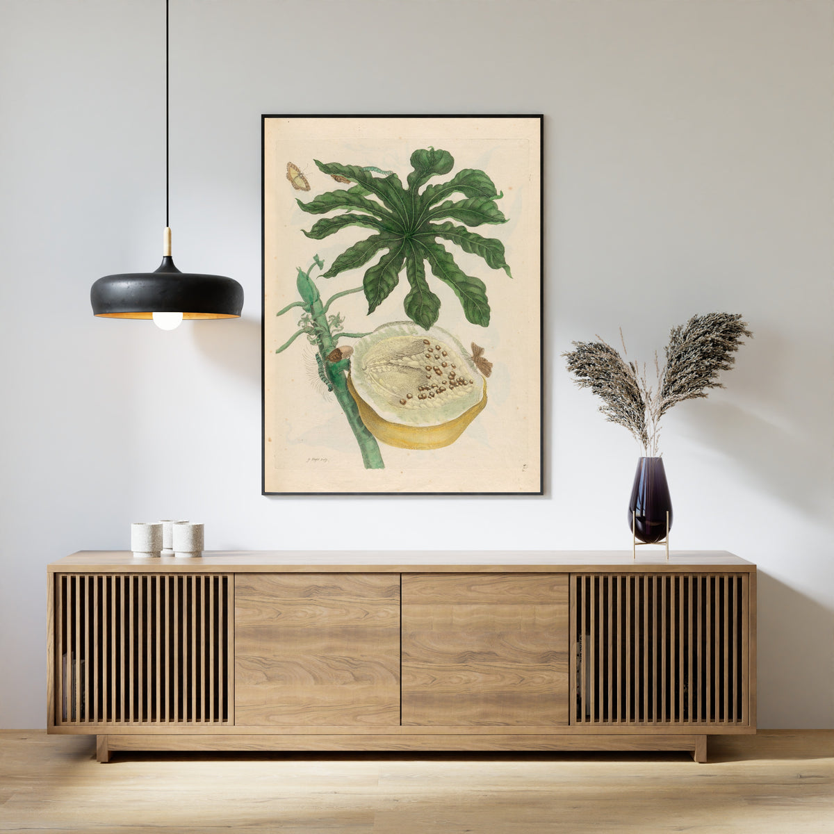 Framed art print of Metamorphosis of the Insects of Surinam: Carica papaya by Maria Sibylla Merian, above a slatted wood sideboard
