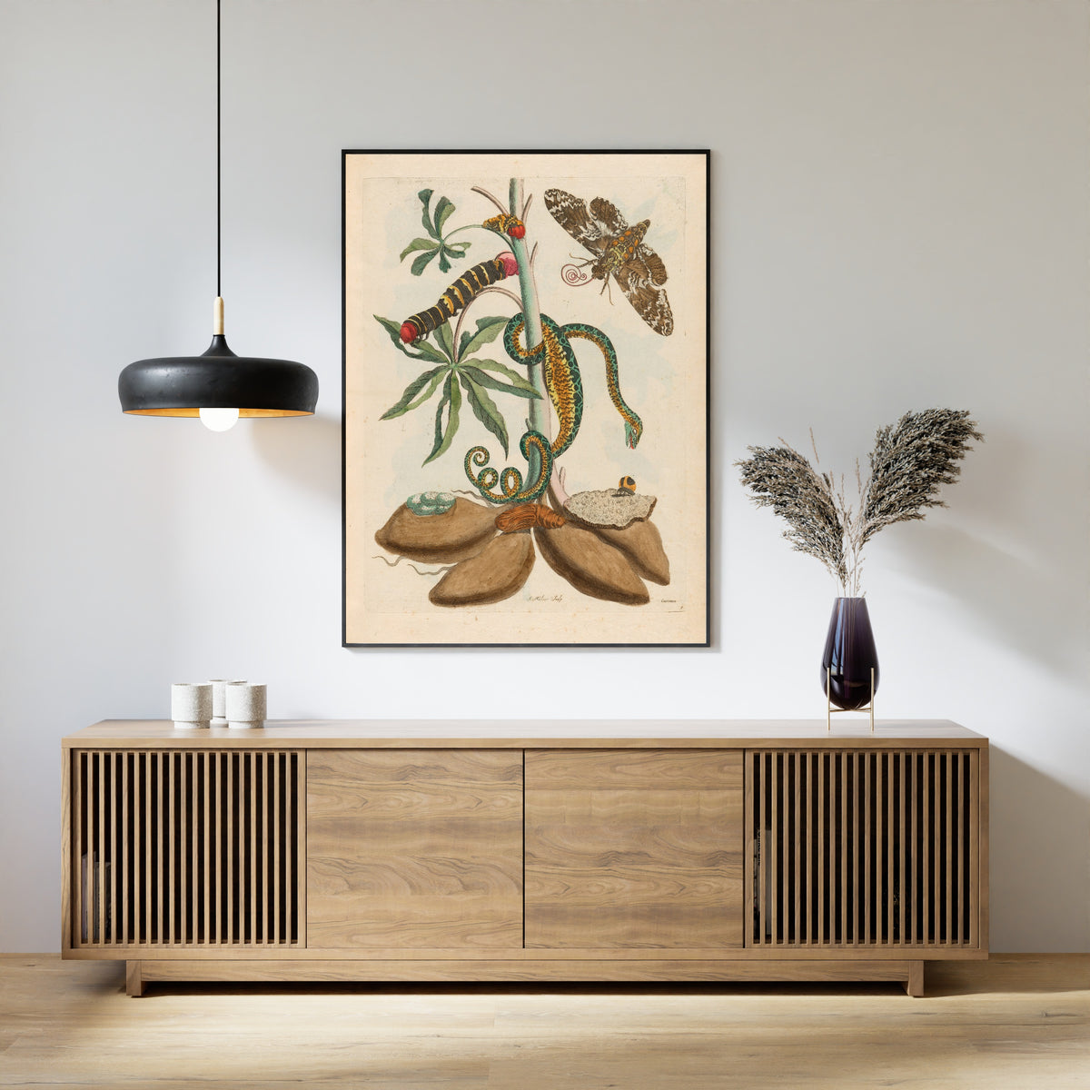 Framed art print of Metamorphosis of the Insects of Surinam: Cassave by Maria Sibylla Merian, above a slatted wood sideboard