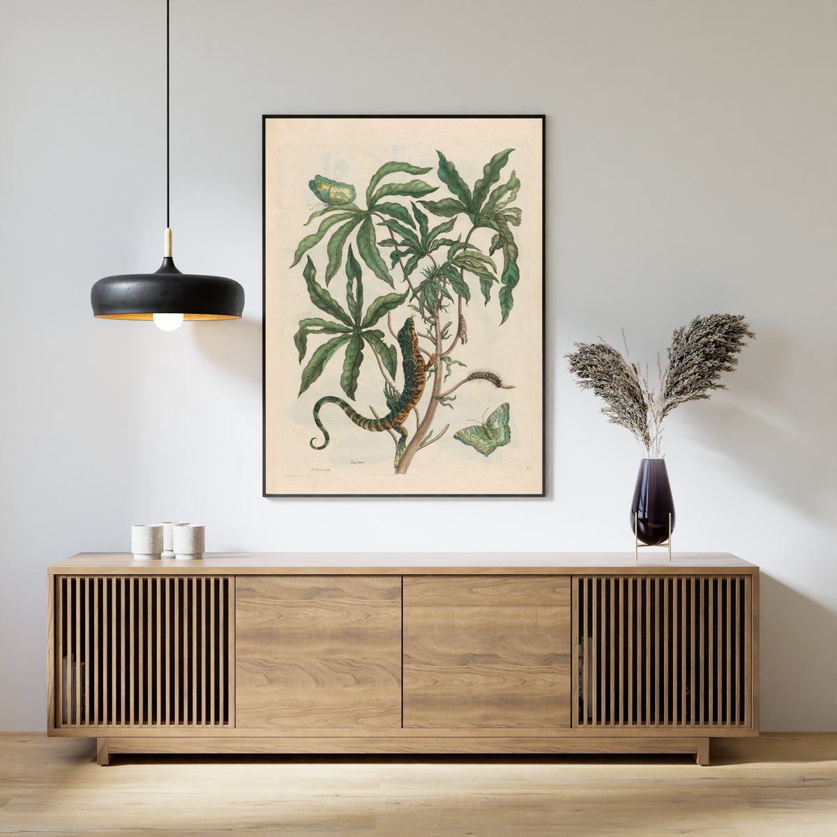 Framed art print of Metamorphosis of the Insects of Surinam: Cassave (with Lizard) by Maria Sibylla Merian, above a slatted wood sideboard