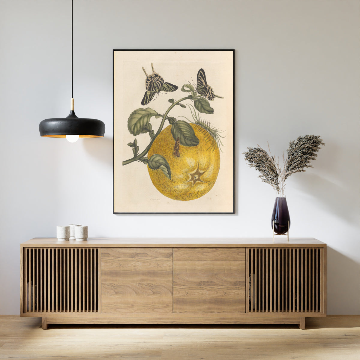 Maria Sibylla Merian — Metamorphosis of the Insects of Surinam: Citrus with Swallowtail Butterflies | Natural History Print