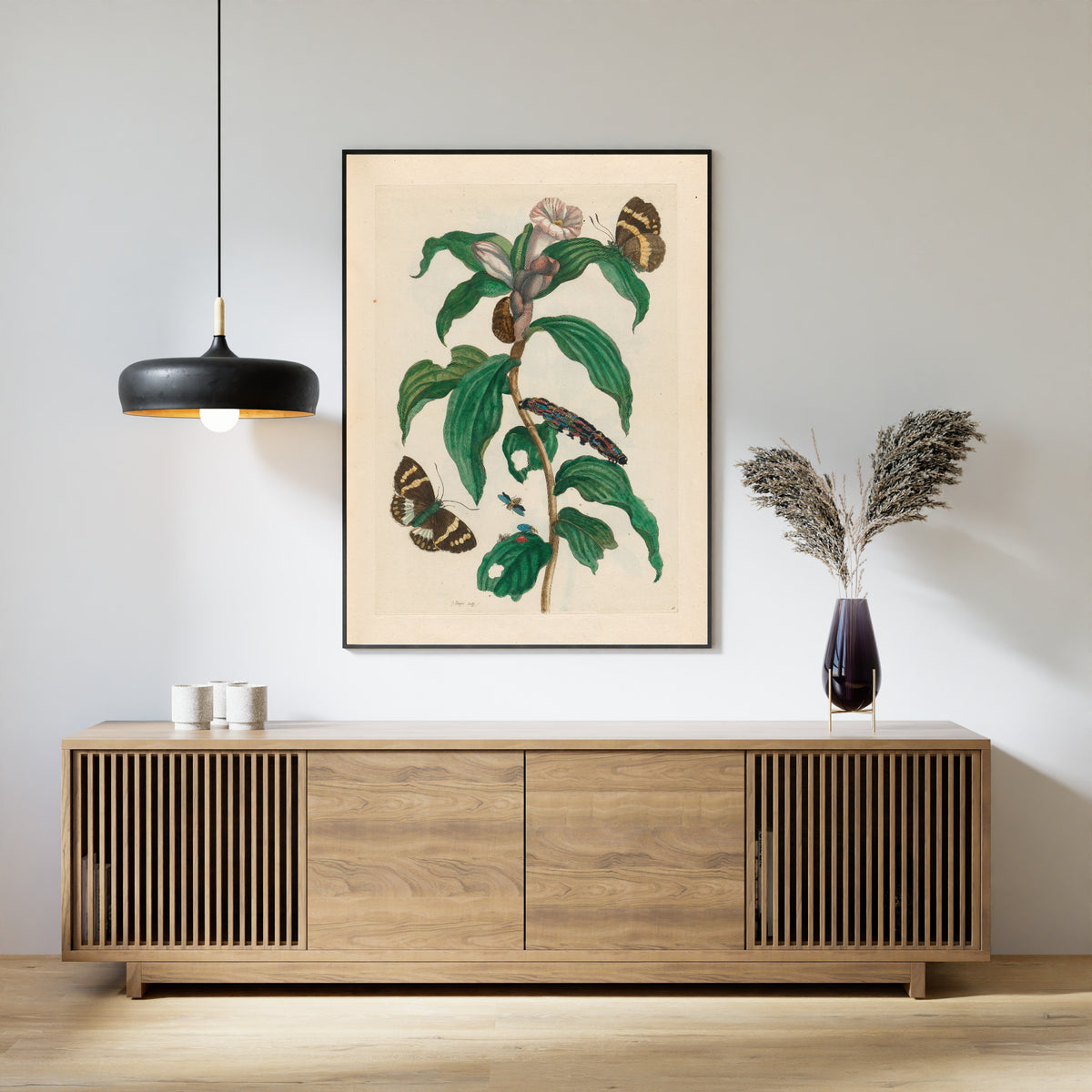Framed art print of Metamorphosis of the Insects of Surinam: Costus arabicus by Maria Sibylla Merian, above a slatted wood sideboard