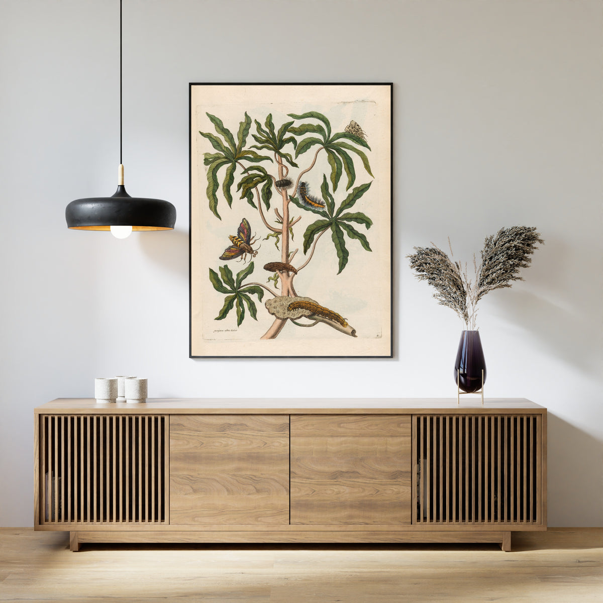 Framed art print of Metamorphosis of the Insects of Surinam: Guajava alba dulcis by Maria Sibylla Merian, above a slatted wood sideboard