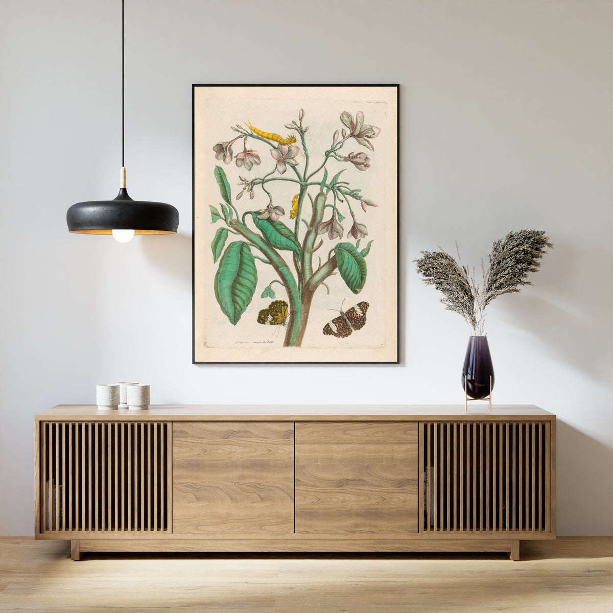 Framed art print of Metamorphosis of the Insects of Surinam: Jasmin des Indes by Maria Sibylla Merian, above a slatted wood sideboard