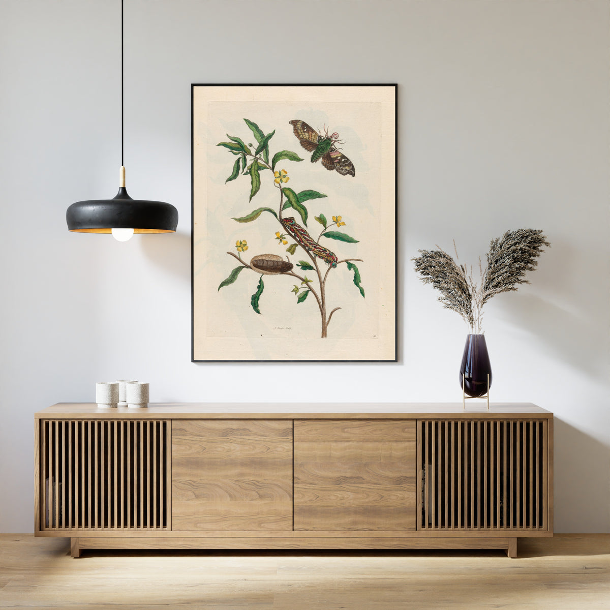 Framed art print of Metamorphosis of the Insects of Surinam: Ludwigia octovalvis by Maria Sibylla Merian, above a slatted wood sideboard