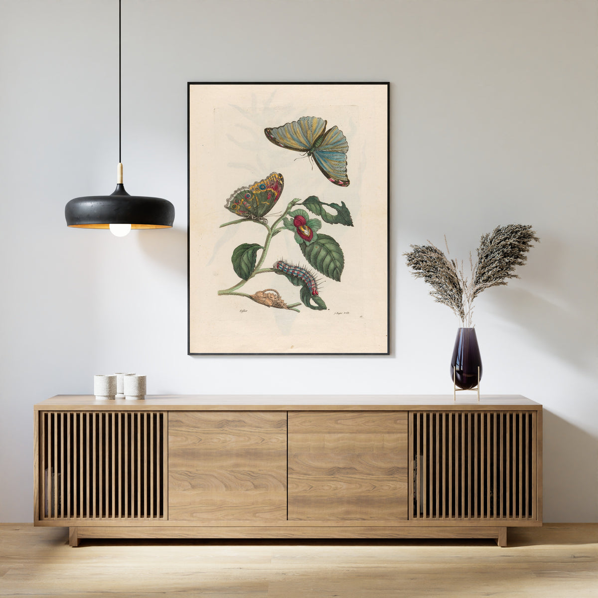Framed art print of Metamorphosis of the Insects of Surinam: Neflier by Maria Sibylla Merian, above a slatted wood sideboard