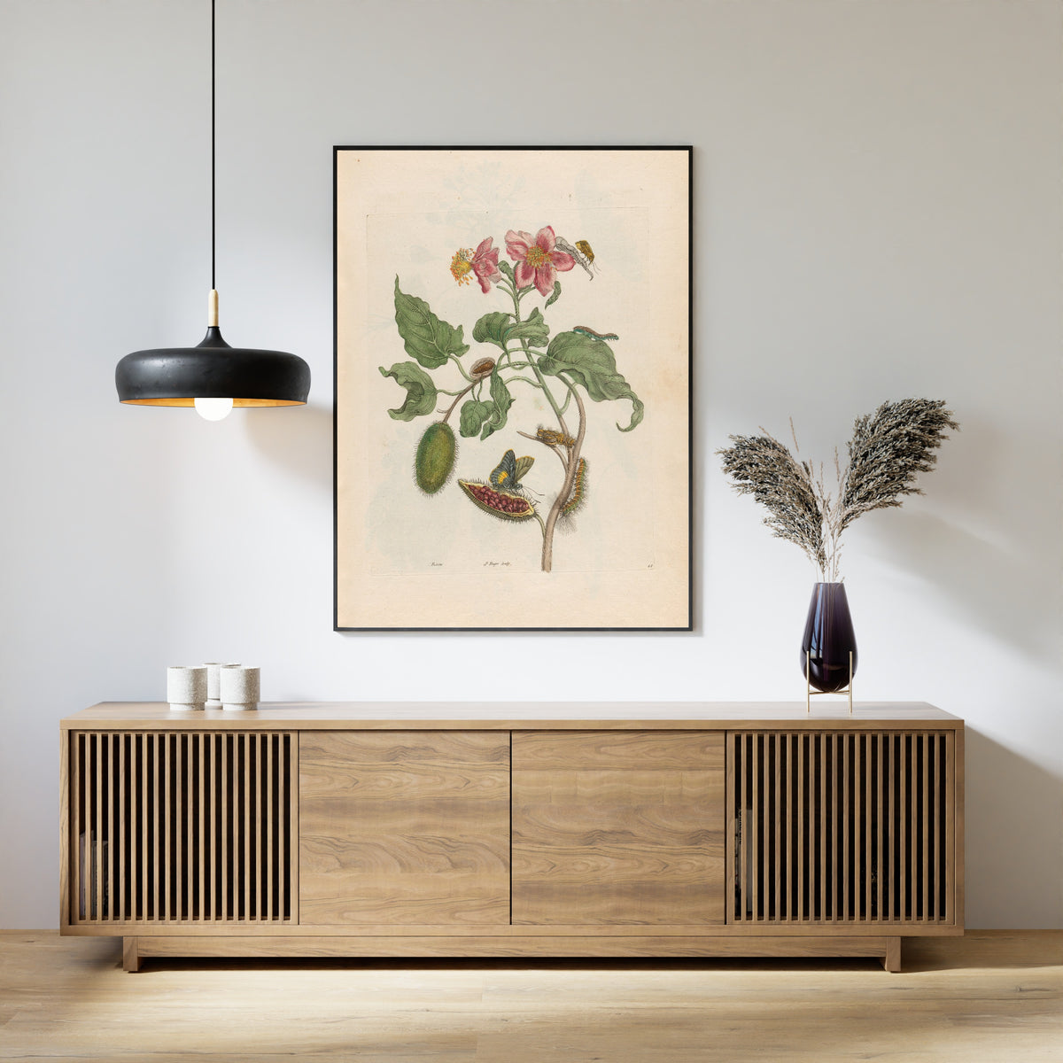 Framed art print of Metamorphosis of the Insects of Surinam: Rocu by Maria Sibylla Merian, above a slatted wood sideboard