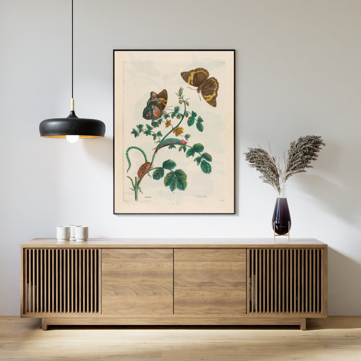 Framed art print of Metamorphosis of the Insects of Surinam: Slaaperljes by Maria Sibylla Merian, above a slatted wood sideboard