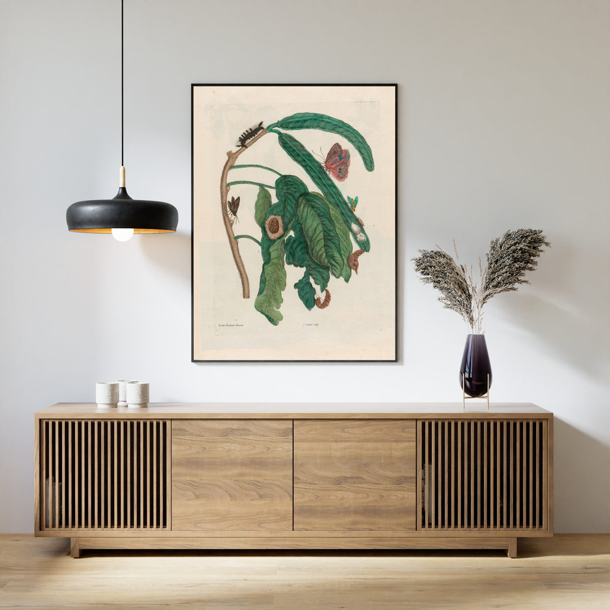 Framed art print of Metamorphosis of the Insects of Surinam: Zoete Boonen-Boom by Maria Sibylla Merian, above a slatted wood sideboard