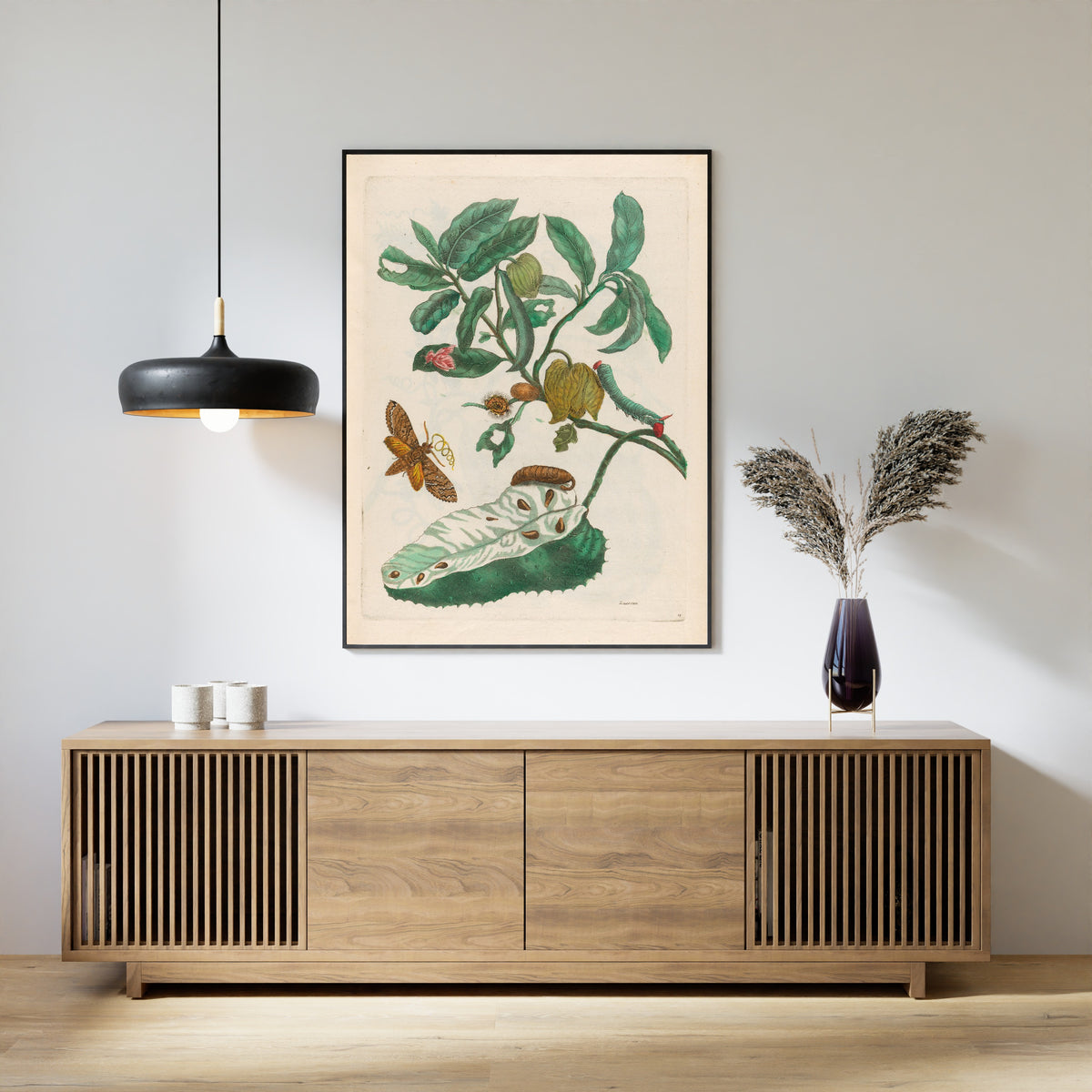 Framed art print of Metamorphosis of the Insects of Surinam: Zuursak by Maria Sibylla Merian, above a slatted wood sideboard