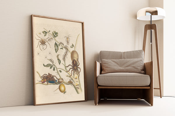 Maria Sibylla Merian — Metamorphosis of the Insects of Surinam, Plate 18: Spiders, Ants and Hummingbird | Natural History Print