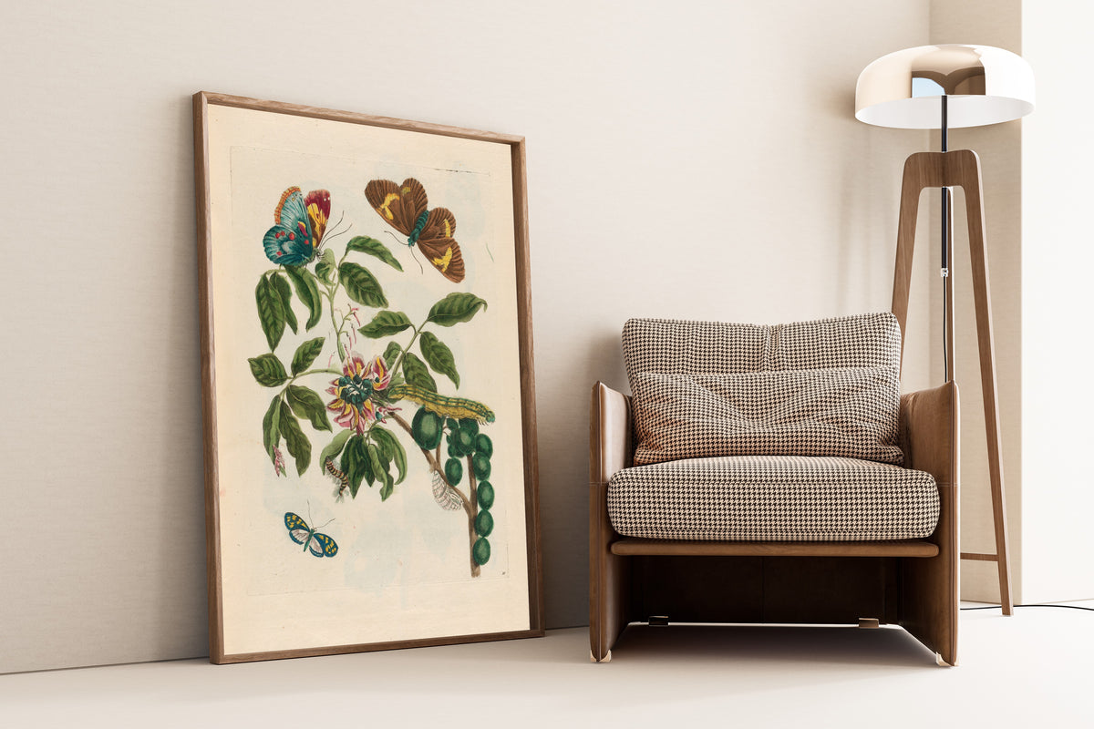 Maria Sibylla Merian — Metamorphosis of the Insects of Surinam, Plate 35: Flowering Branch with Butterflies | Natural History Print