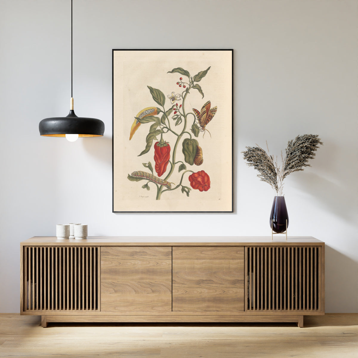 Maria Sibylla Merian — Metamorphosis of the Insects of Surinam, Plate 55: Peppers | Natural History Print