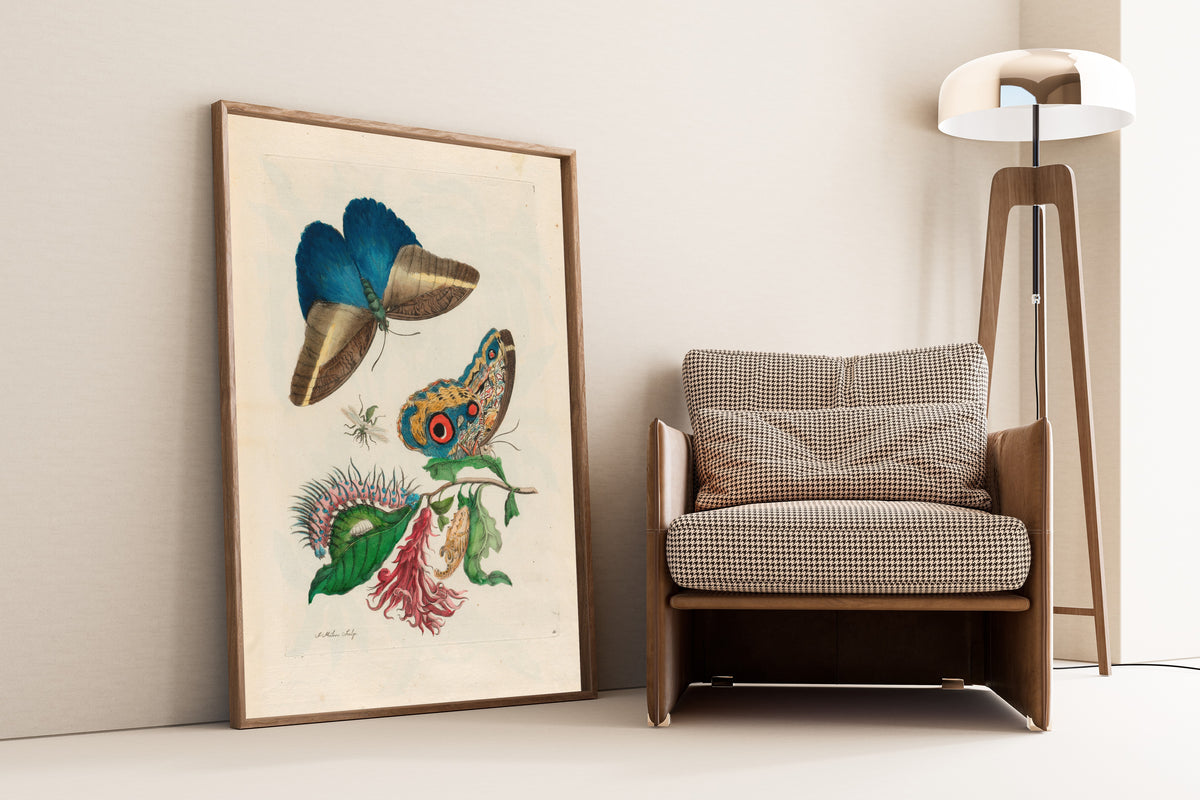 Maria Sibylla Merian — Metamorphosis of the Insects of Surinam, Plate 60: Butterflies, Caterpillar and Red Flower Spike | Natural History Print