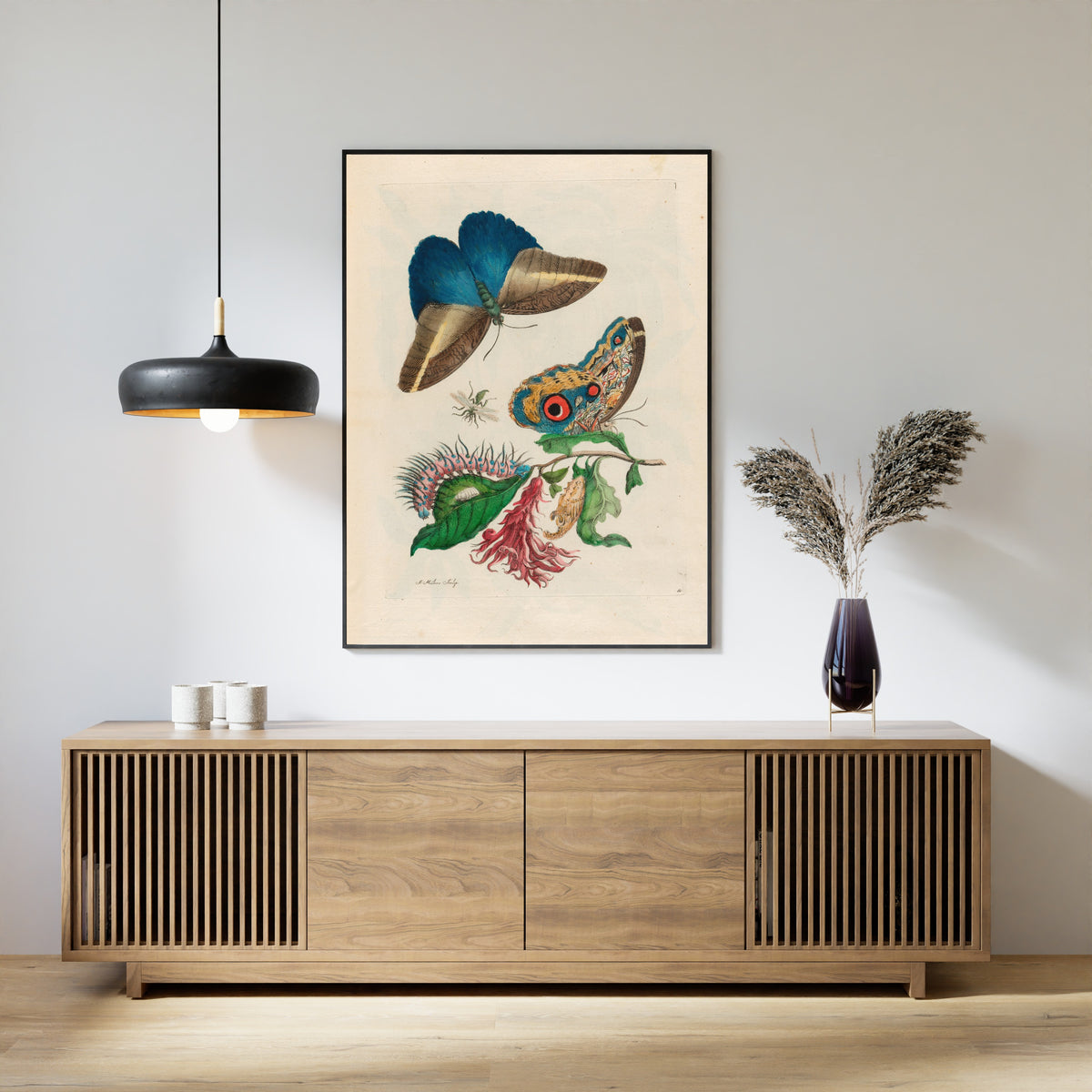 Maria Sibylla Merian — Metamorphosis of the Insects of Surinam, Plate 60: Butterflies, Caterpillar and Red Flower Spike | Natural History Print