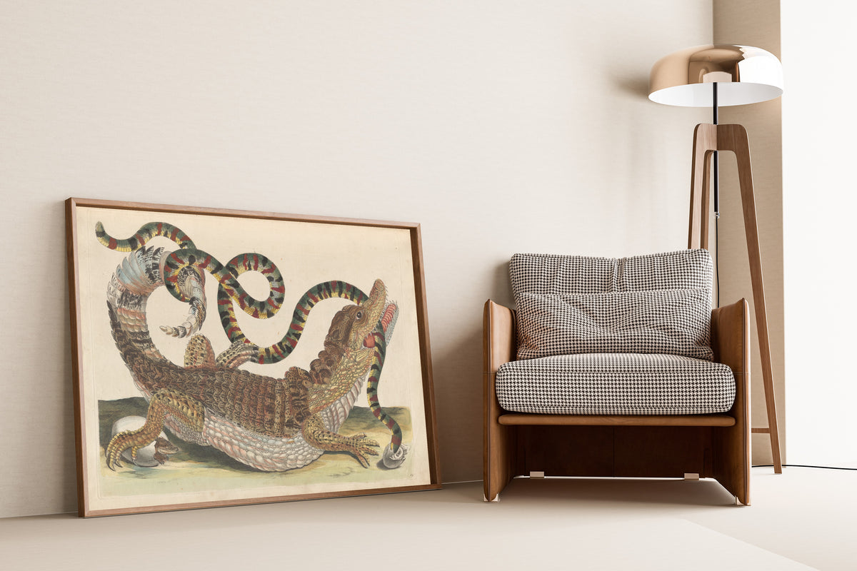 Maria Sibylla Merian — Metamorphosis of the Insects of Surinam, Plate 69: Caiman and Snake | Natural History Print