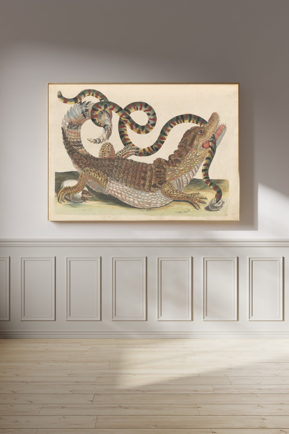 Maria Sibylla Merian — Metamorphosis of the Insects of Surinam, Plate 69: Caiman and Snake | Natural History Print