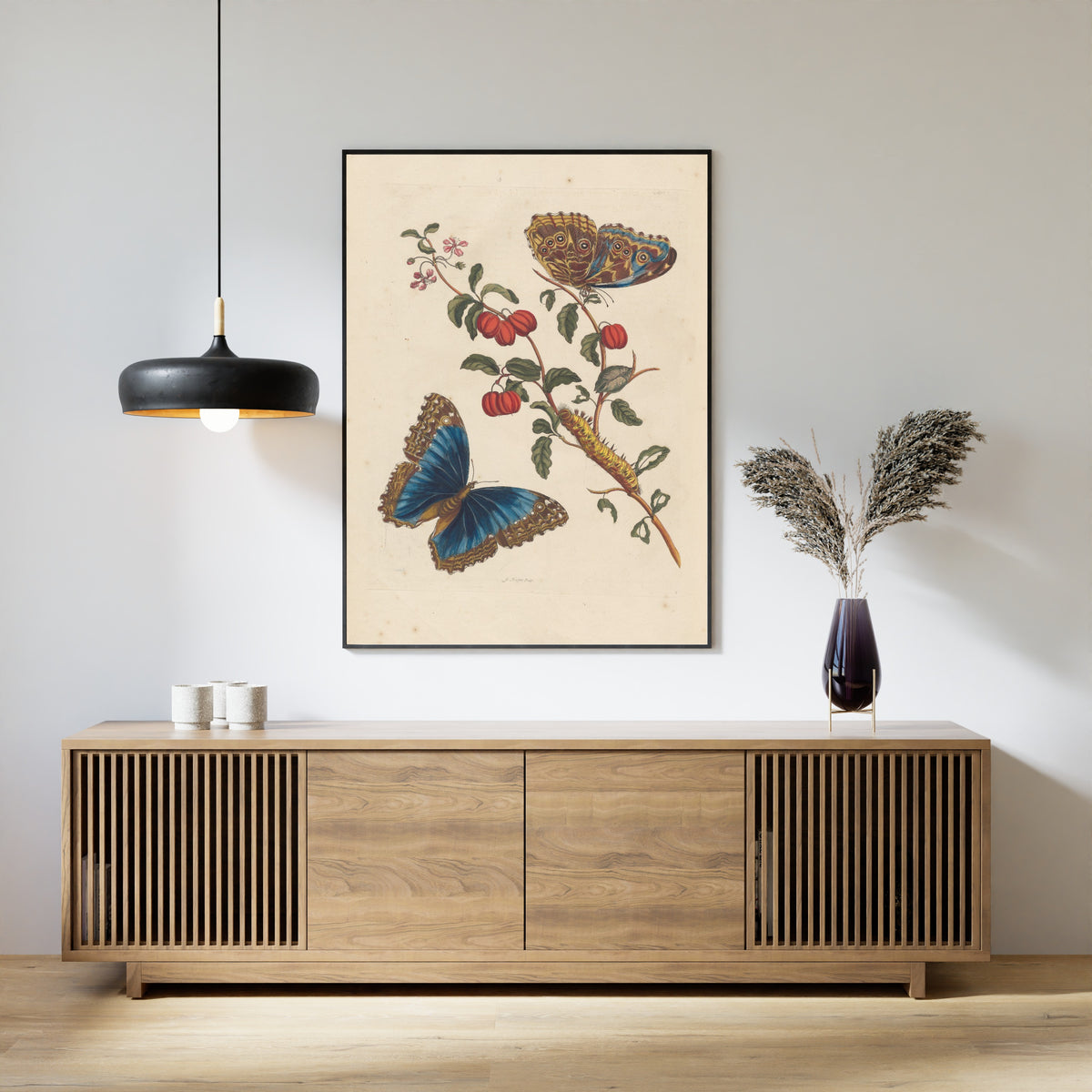 Maria Sibylla Merian — Metamorphosis of the Insects of Surinam, Plate 7: Blue Morpho Butterflies and Barbados Cherry | Natural History Print