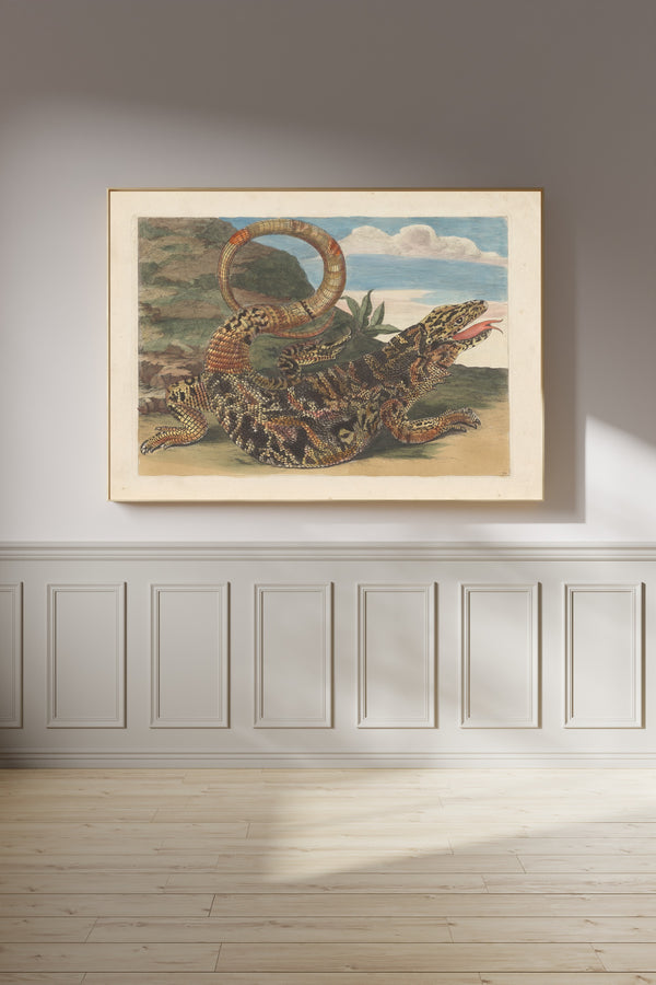 Maria Sibylla Merian — Metamorphosis of the Insects of Surinam, Plate 70: Lizard | Natural History Print