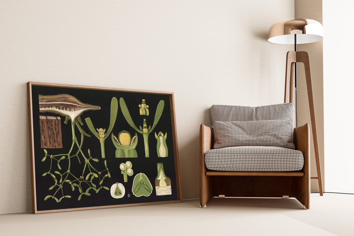 Gottlieb von Koch — Mistletoe (Viscum album) | Botanical Illustration Print