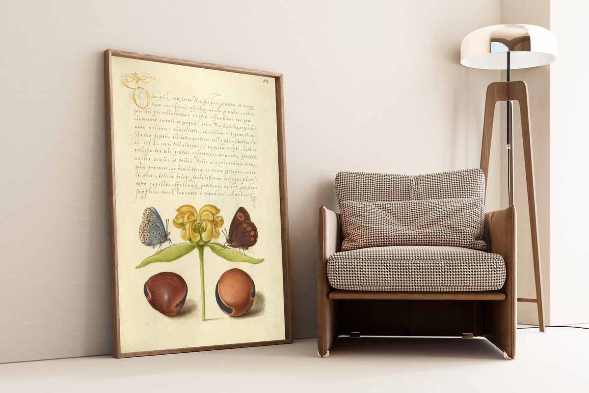 Joris Hoefnagel — Moths, Jerusalem Sage, and Beans | Botanical Calligraphy Print