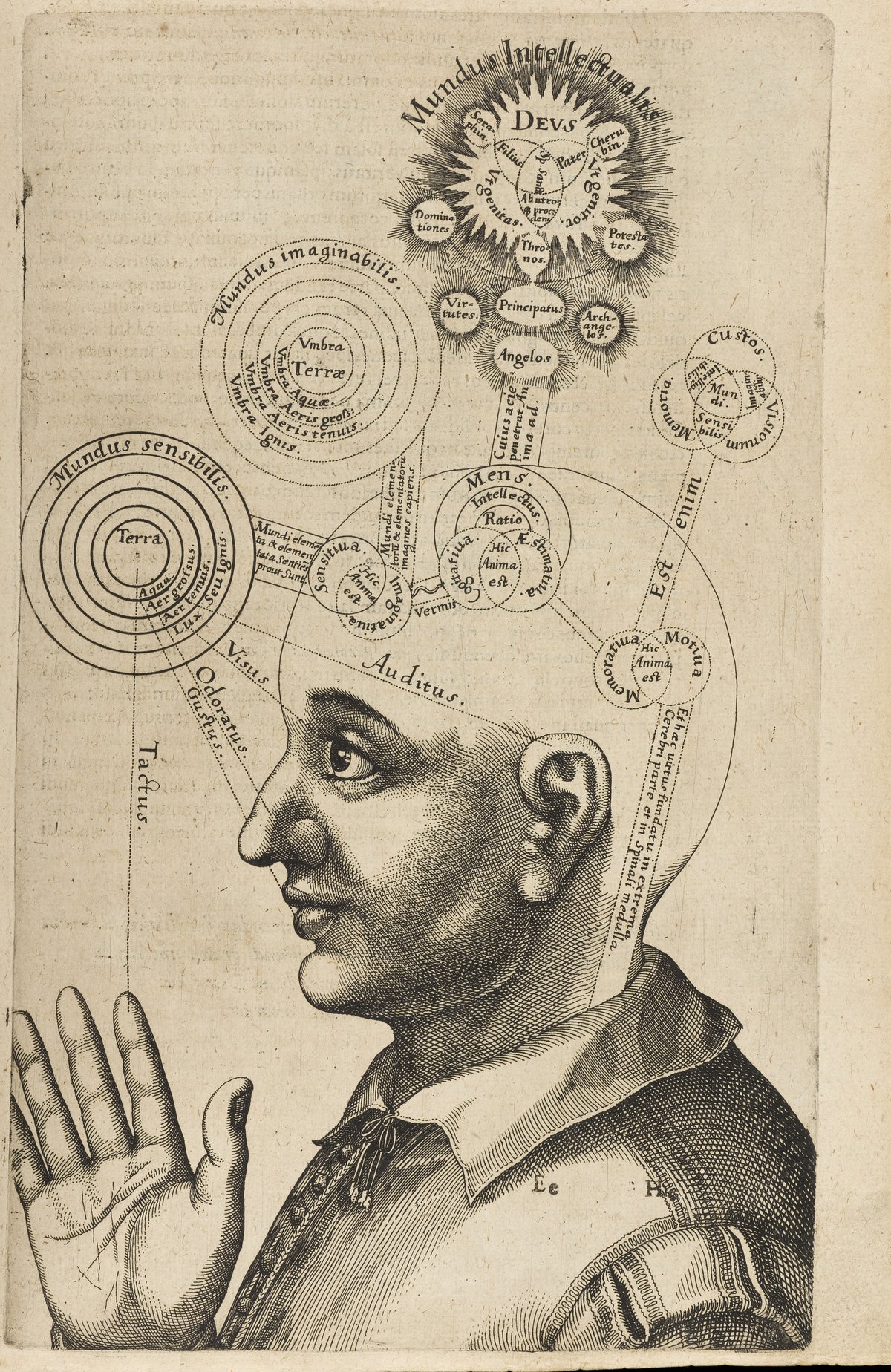 Mundus Intellectualis: the Mental Faculties in a Head (Utriusque Cosmi, Volume 2) by Robert Fludd — A man in profile linked to the worlds of sense, imagination