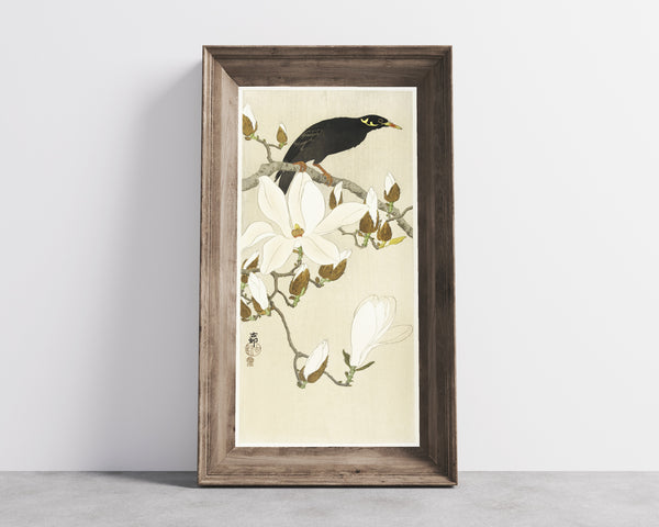Ohara Koson — Myna on Magnolia Branch | Japanese Bird & Flower Woodblock Print