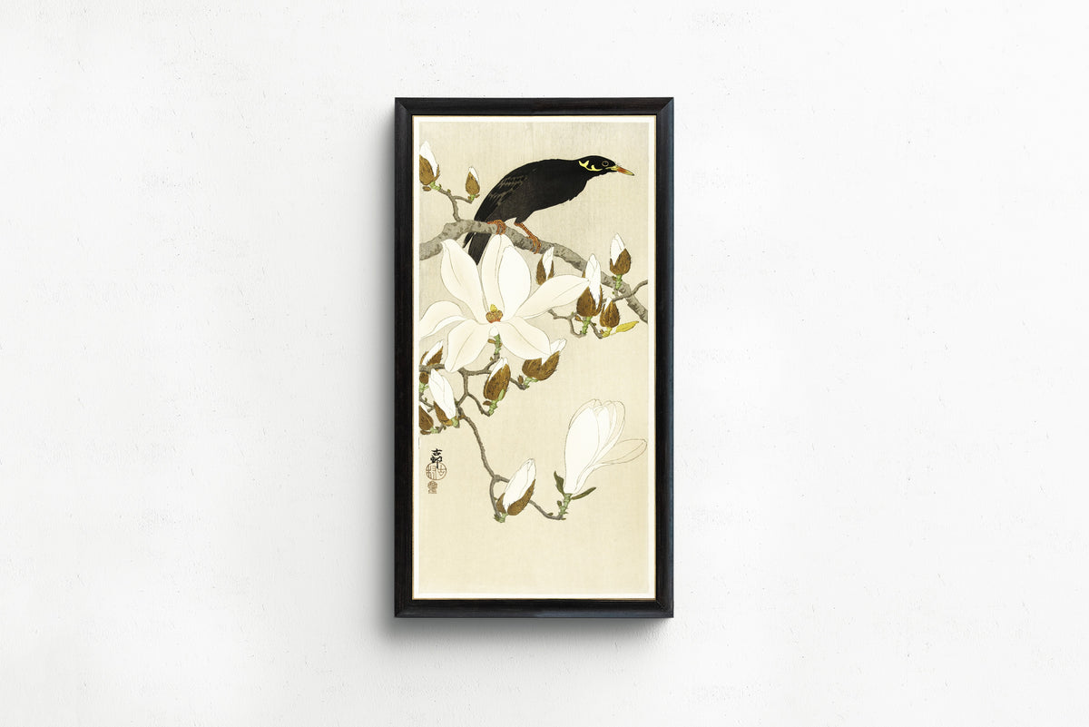 Ohara Koson — Myna on Magnolia Branch | Japanese Bird & Flower Woodblock Print